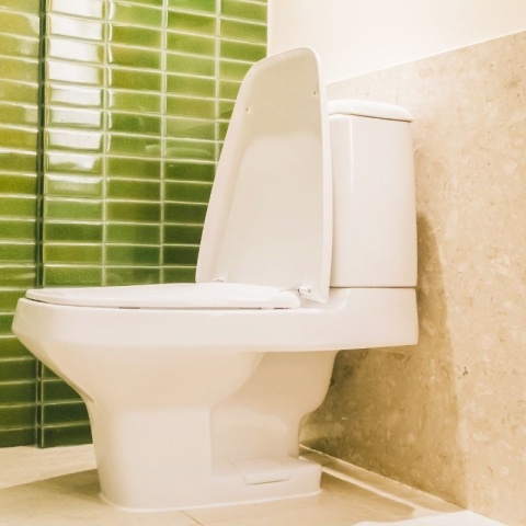 Odkamieniacz do WC VERDE ECO WC 750ml Interchem Italia