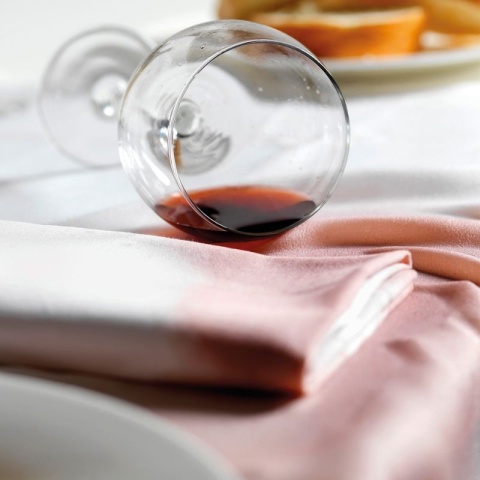 Odplamiacz tkanin BETTER STAIN REMOVER 750ml Interchem Italia