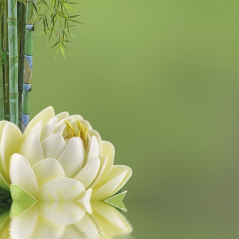 Odświeżacz powietrza o zapachu ambry i kwiatu lotosu AIRES AMBRA E FIOR DI LOTO 750ml Interchem Italia