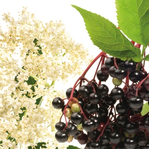 Odświeżacz powietrza o zapachu wiosennych owoców AIRES FRUTTI DI PRIMAVERA 750ml Interchem Italia