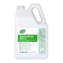 Odtłuszczacz do kuchni VERDE ECO SGRASSATORE ATTIVO 5l Interchem Italia