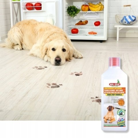 Płyn do mycia podłóg neutralizujący zapachy zwierząt LAVAPAVIMENTI ODORSTOP OXYGENE 1000ml Mafra