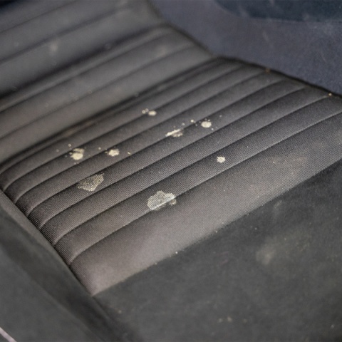 Środek do czyszczenia tapicerki z Alcantary ALCANTARA CLEANER 500ml Maniac Line Mafra