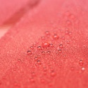 Ceramiczny wosk w sprayu z SiO₂ CERAMIC ULTRA SPEED WAX 500ml Maniac Line Mafra