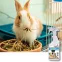 Środek neutralizujący zapachy zwierząt RIMUOVI ODORI 500ml Mafra
