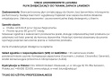 Płyn do płukania tkanin o zapachu lawendy VINCO AMMORBIDENTE LAVANDA 5kg Interchem Italia
