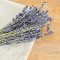Płyn do płukania tkanin o zapachu lawendy VINCO AMMORBIDENTE LAVANDA 5kg Interchem Italia