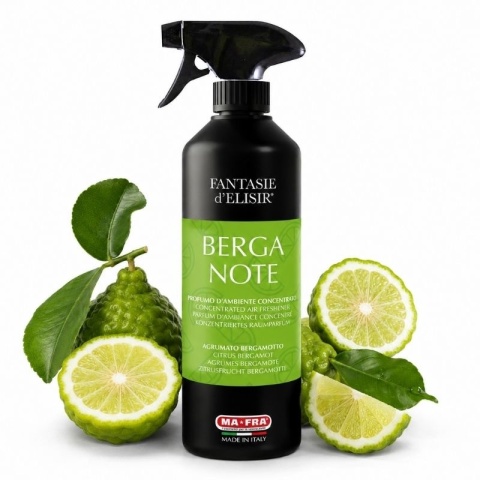 Odświeżacz w sprayu do auta i pomieszczeń FANTASIE D'ELISIR BERGA NOTE 500ml Mafra