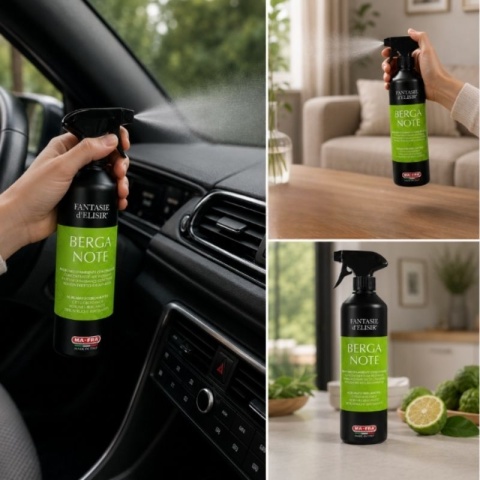 Odświeżacz w sprayu do auta i pomieszczeń FANTASIE D'ELISIR BERGA NOTE 500ml Mafra