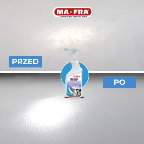 Preparat do konserwacji i zabezpieczenia pontonów SEALY 500 ml